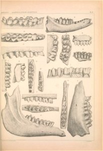 n1222_w1150