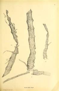 n266_w1150