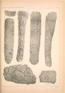 n1338_w1150