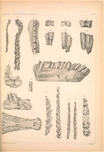 n1158_w1150