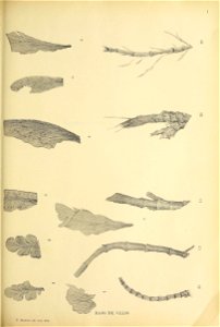 n262_w1150