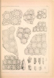 n1334_w1150