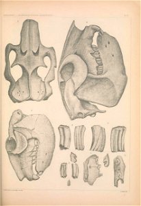 n1154_w1150