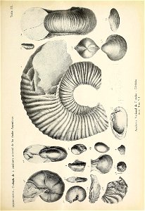 n456_w1150
