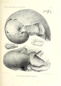 n232_w1150