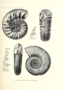 n172_w1150