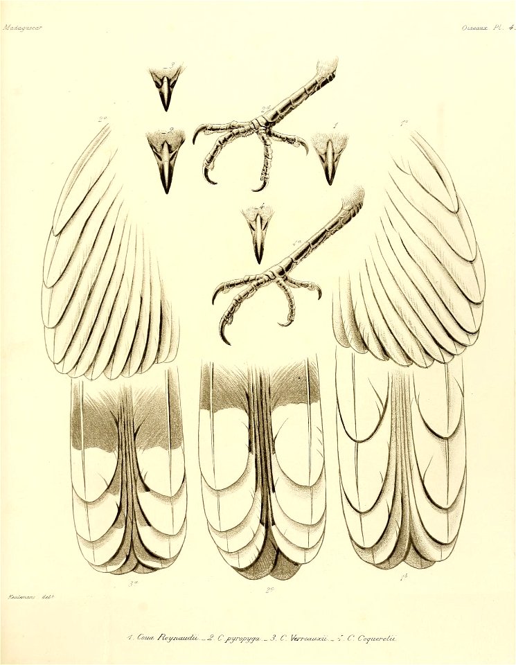 n140_w1150