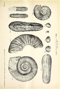 n452_w1150