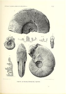n228_w1150