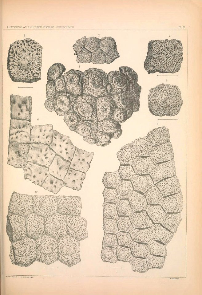 n1326_w1150