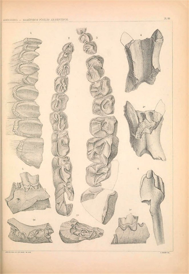 n1206_w1150