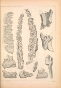 n1206_w1150