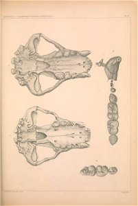 n1086_w1150
