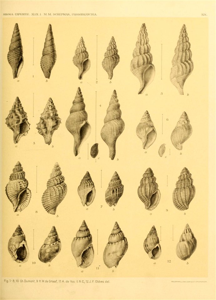 n136_w1150