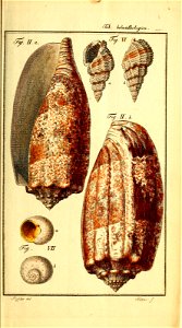 n432_w1150