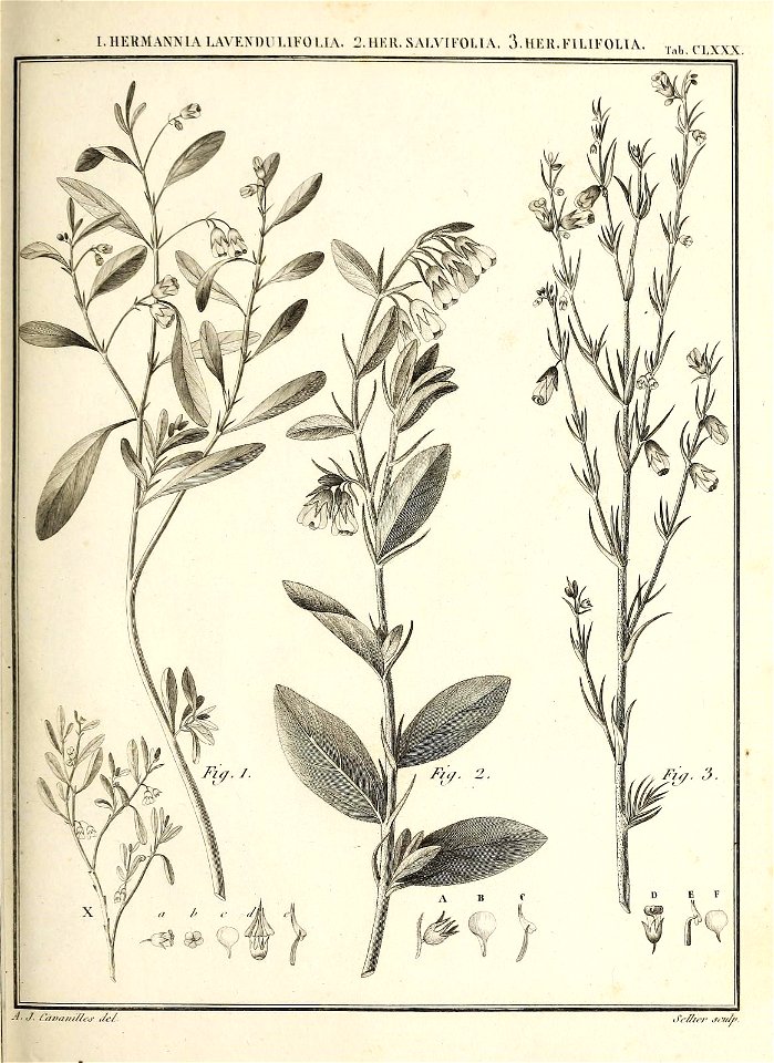 n102_w1150