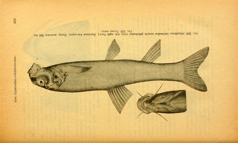 n314_w1150