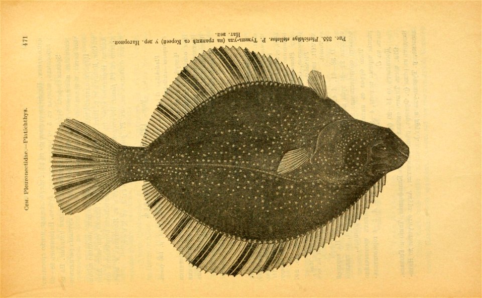 n506_w1150