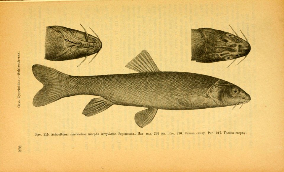 n313_w1150