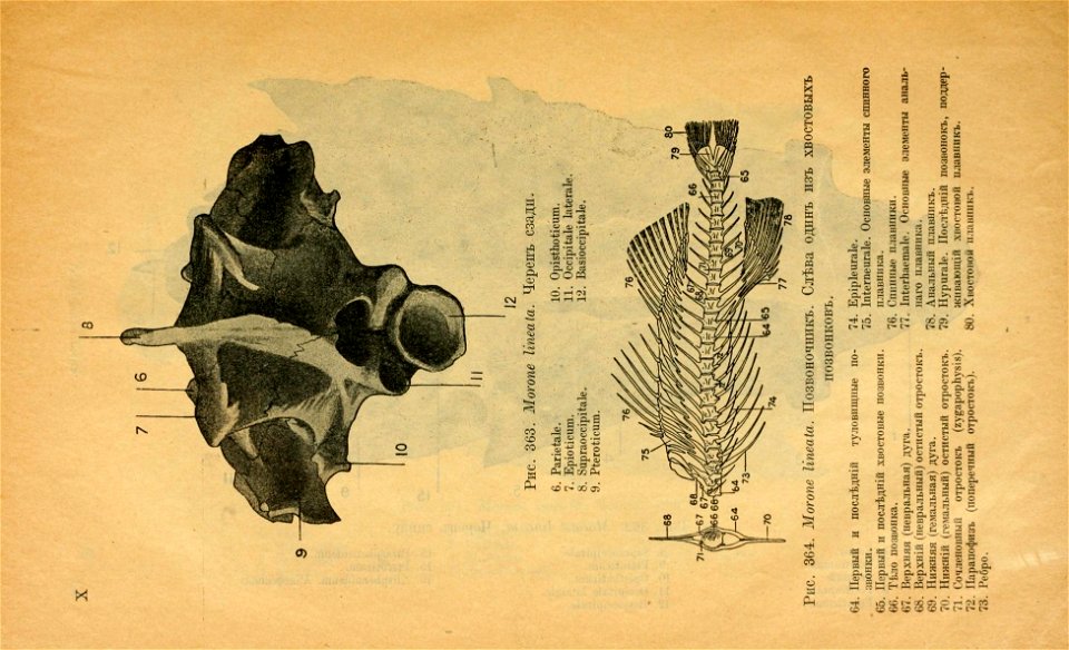 n17_w1150