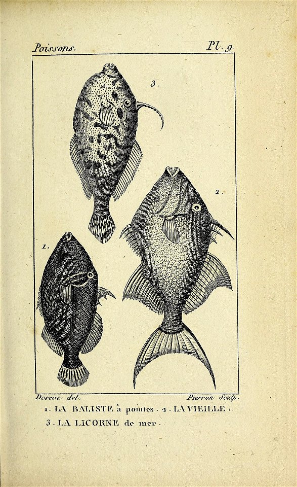 n56_w1150
