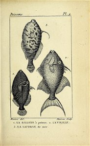 n56_w1150
