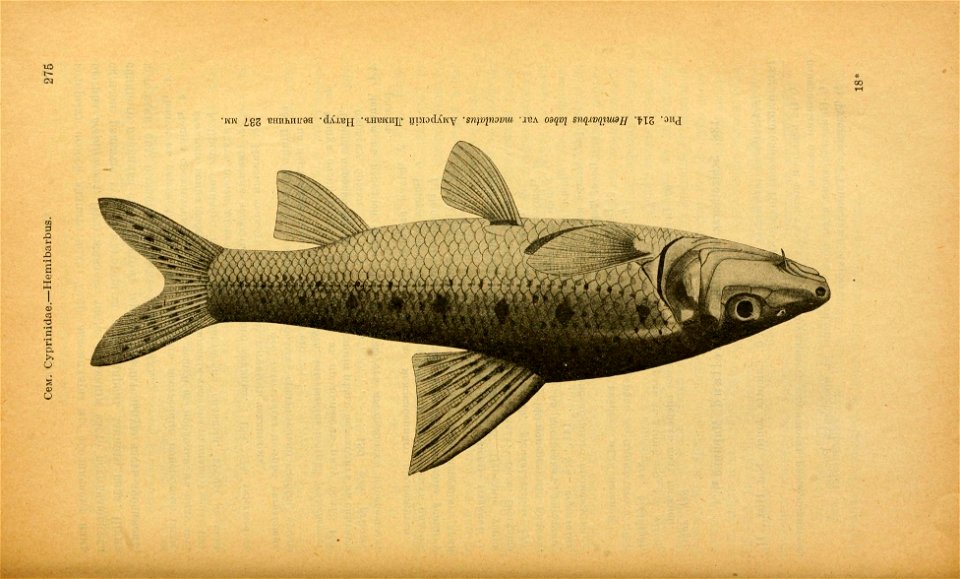 n310_w1150