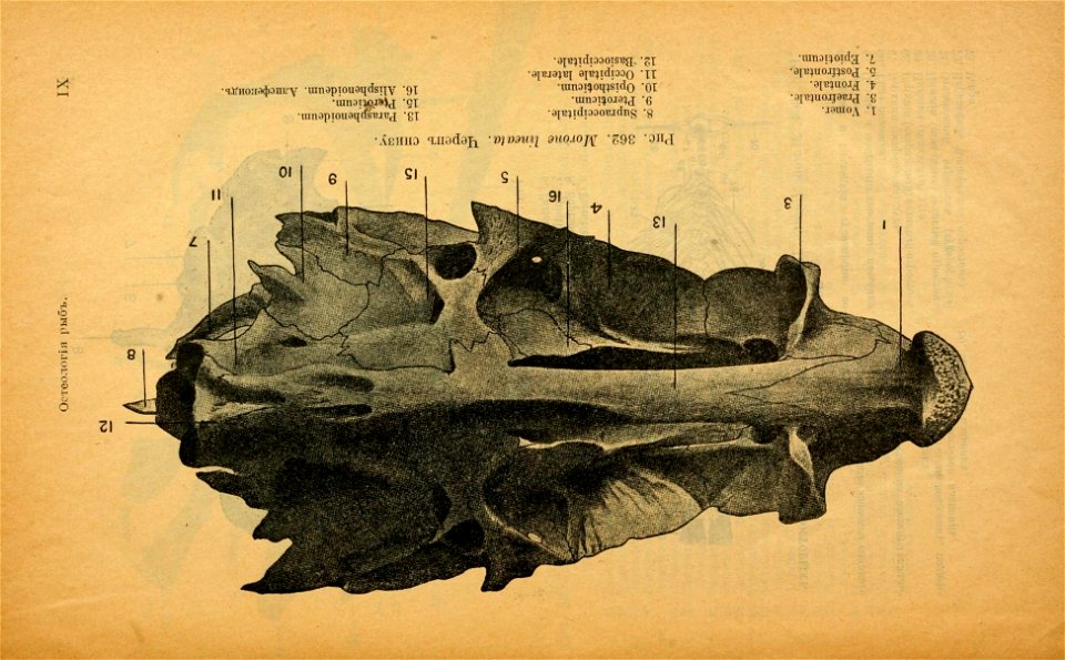 n16_w1150