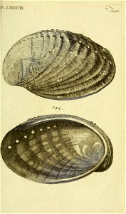n358_w1150