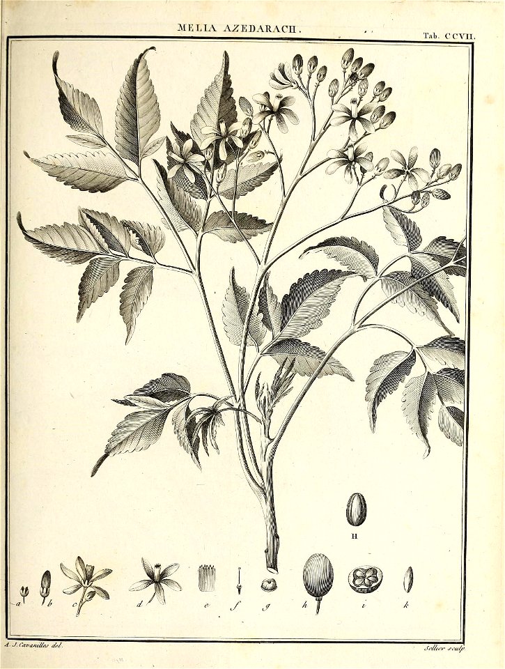 n156_w1150