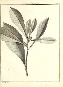 n66_w1150
