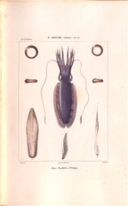 n182_w1150