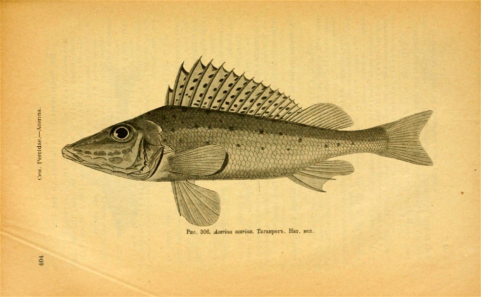 n439_w1150