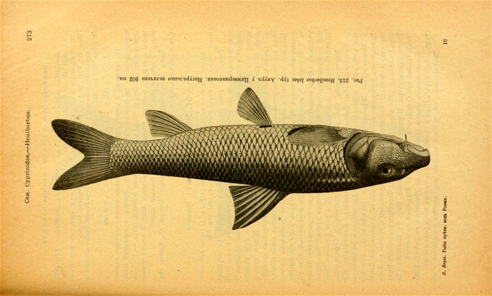 n308_w1150