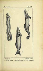 n110_w1150