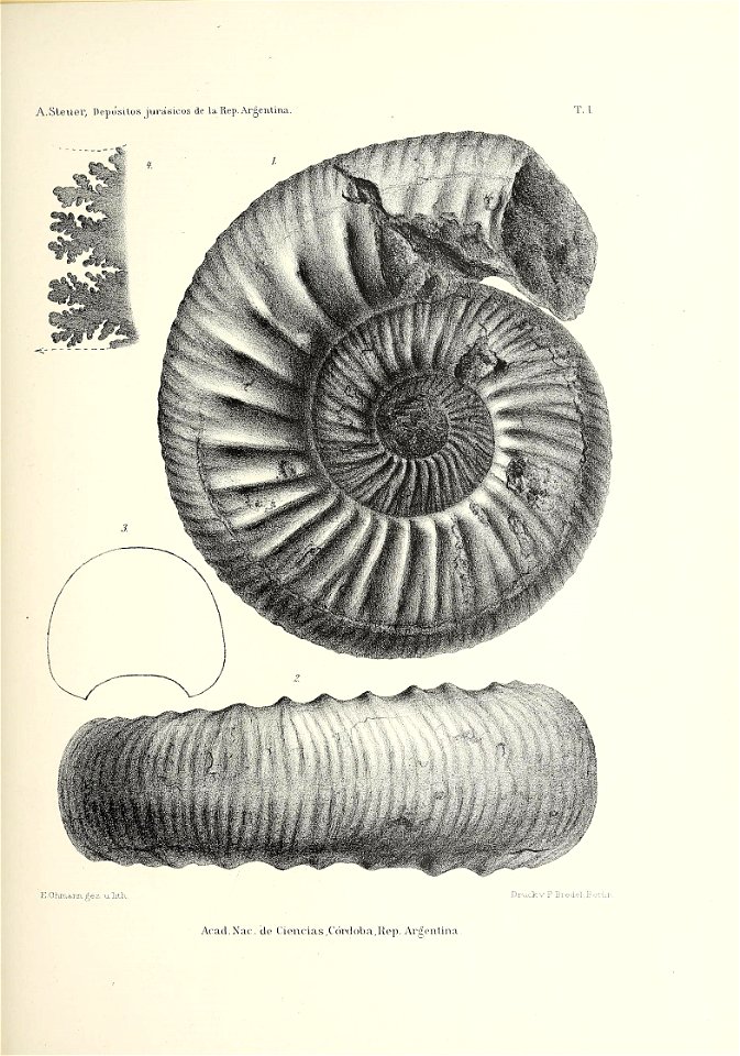 n140_w1150