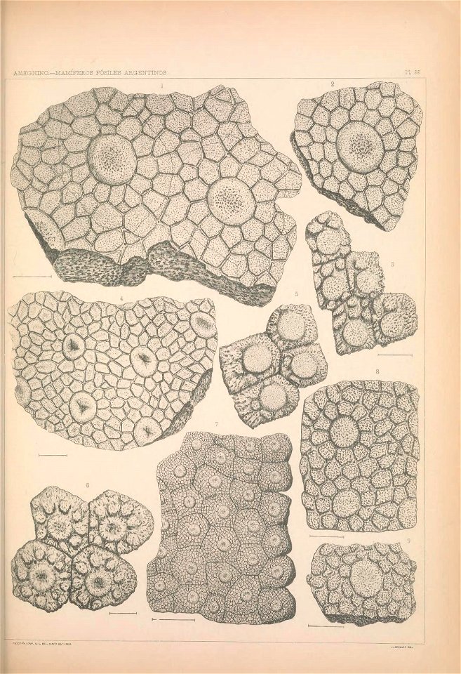 n1298_w1150