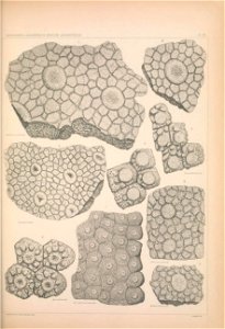 n1298_w1150