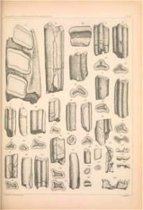 n1238_w1150
