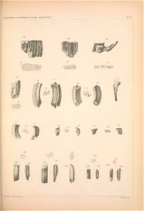 n1178_w1150
