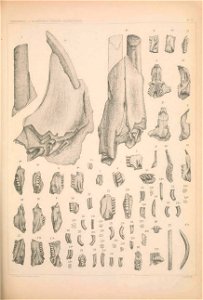 n1118_w1150