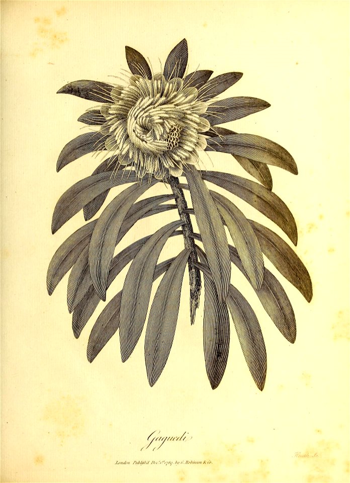 n108_w1150