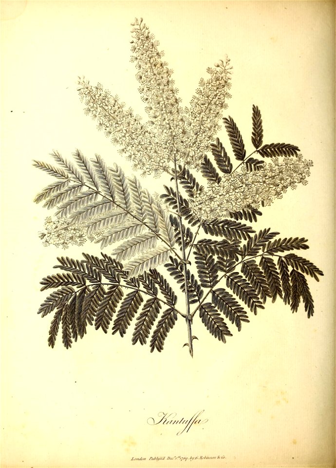 n103_w1150