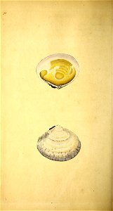 n115_w1150