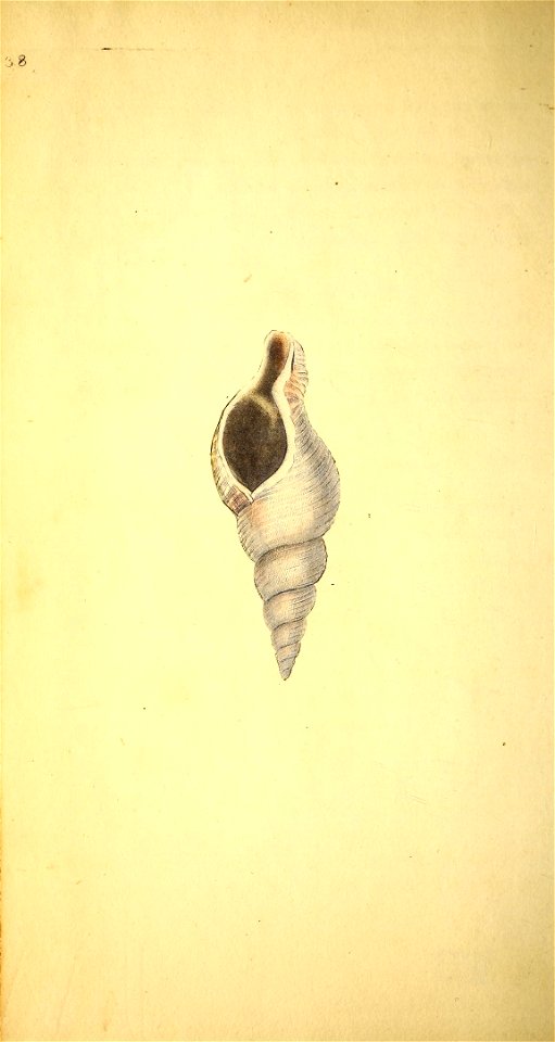 n13_w1150
