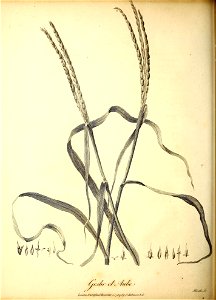 n99_w1150
