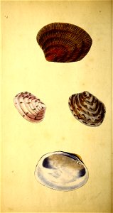 n139_w1150