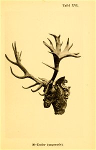n58_w1150
