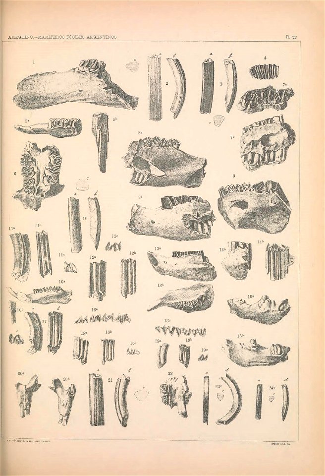 n1166_w1150