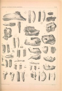 n1166_w1150